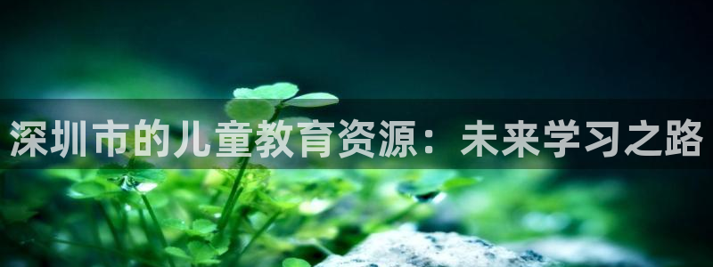 FH至尊信誉怎么样