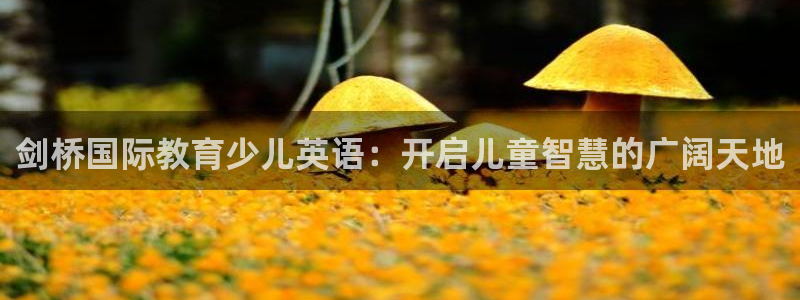 FH至尊娱乐注册