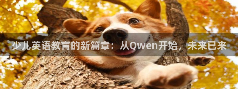 fh至尊是不是假的