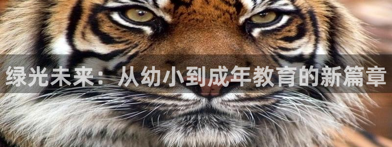 fh至尊普通登录
