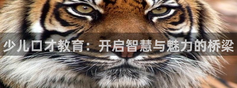FH至尊出问题了