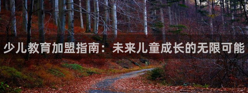 fh至尊怎么注册