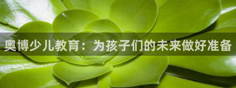 fh至尊是老凤凰吗