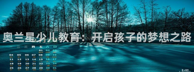 fh至尊代理